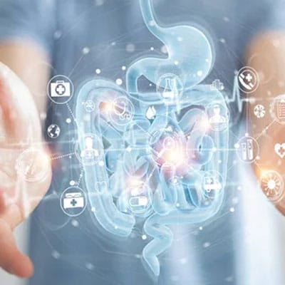 Digital rendering of human digestive system overlaid on hands, with medical symbols surrounding it, suggesting healthcare or medical analysis.